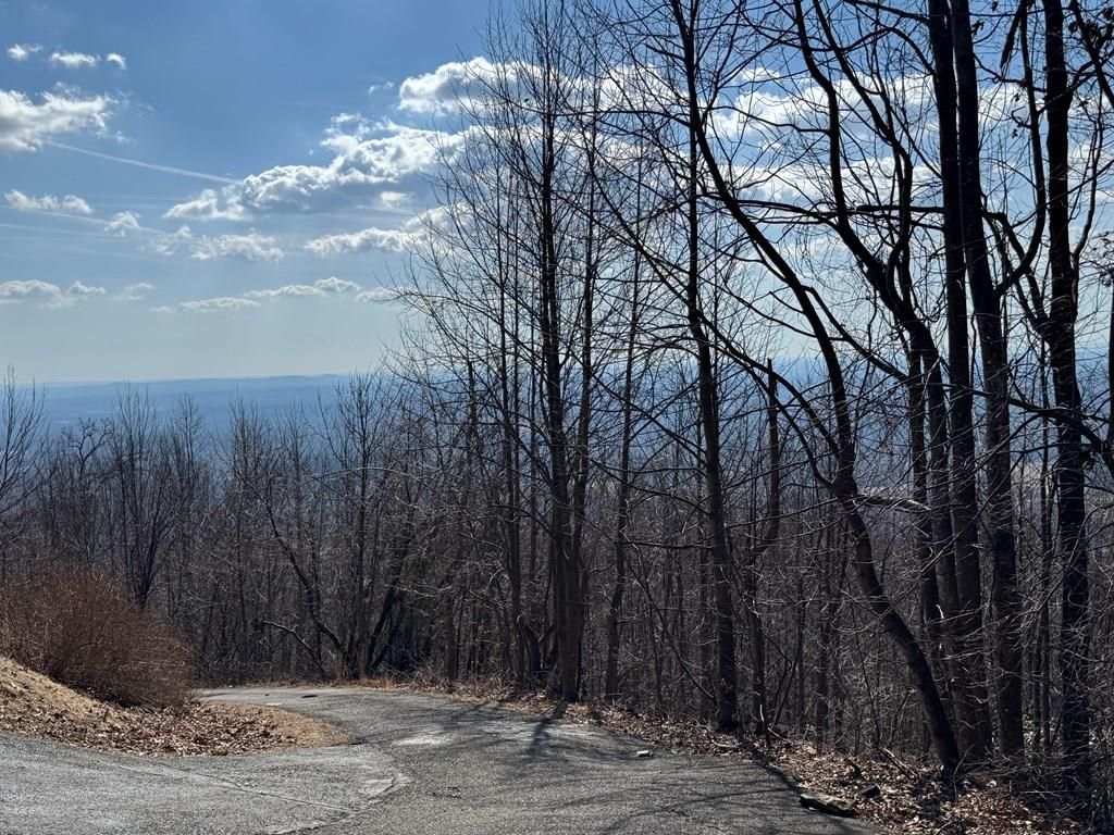 Photo of TBD Morning Side Trail #9, Fancy Gap, VA 24328 (MLS # 98547)