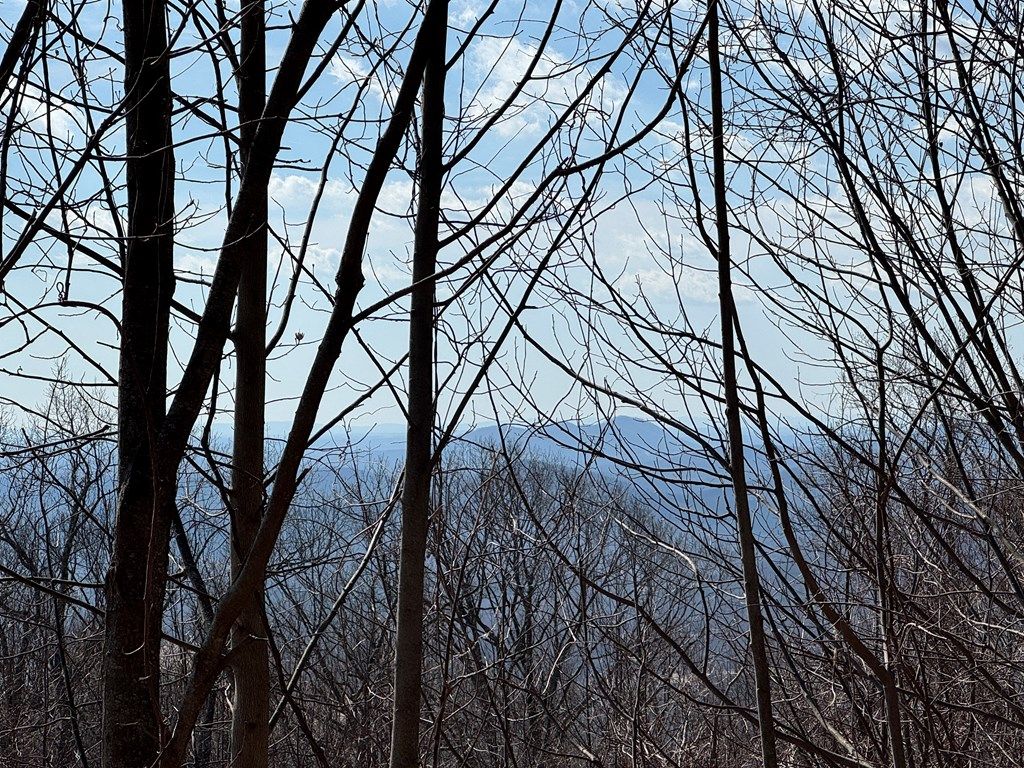 Photo of TBD Morning Side Trail #9, Fancy Gap, VA 24328 (MLS # 98547)