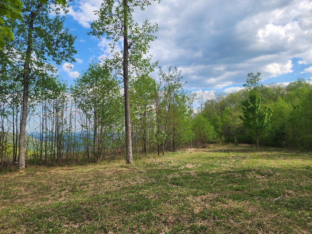 Photo of 1516 Seven Springs Pkwy #15, 16, Fancy Gap, VA 24053 (MLS # 109811)