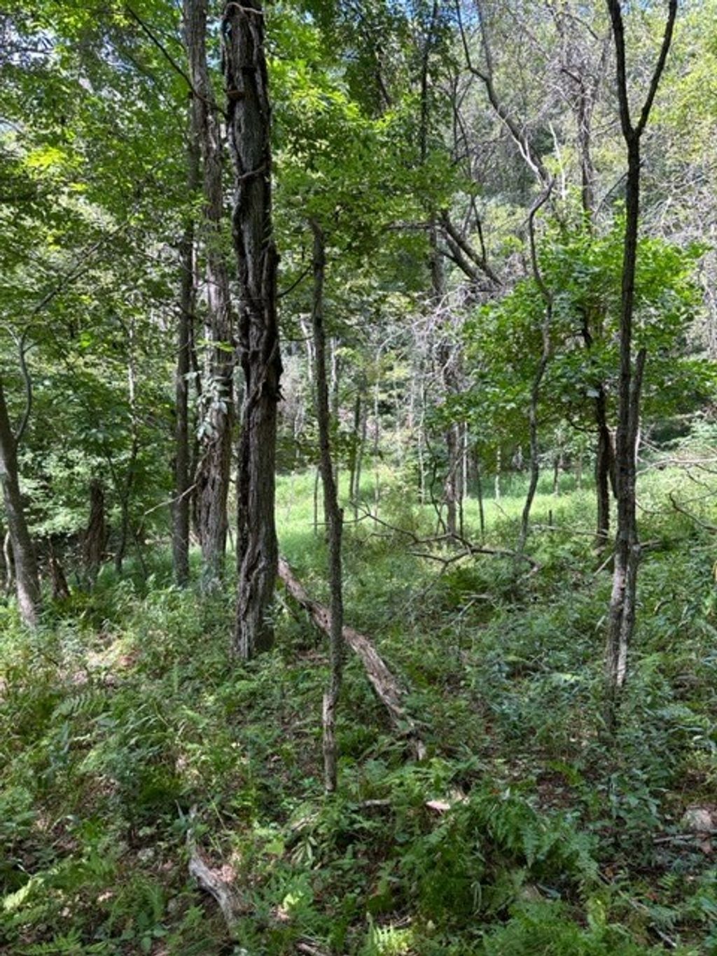 Photo of TBD Black Rock Mountain Ln #52-2-8, Independence, VA 24348 (MLS # 109388)