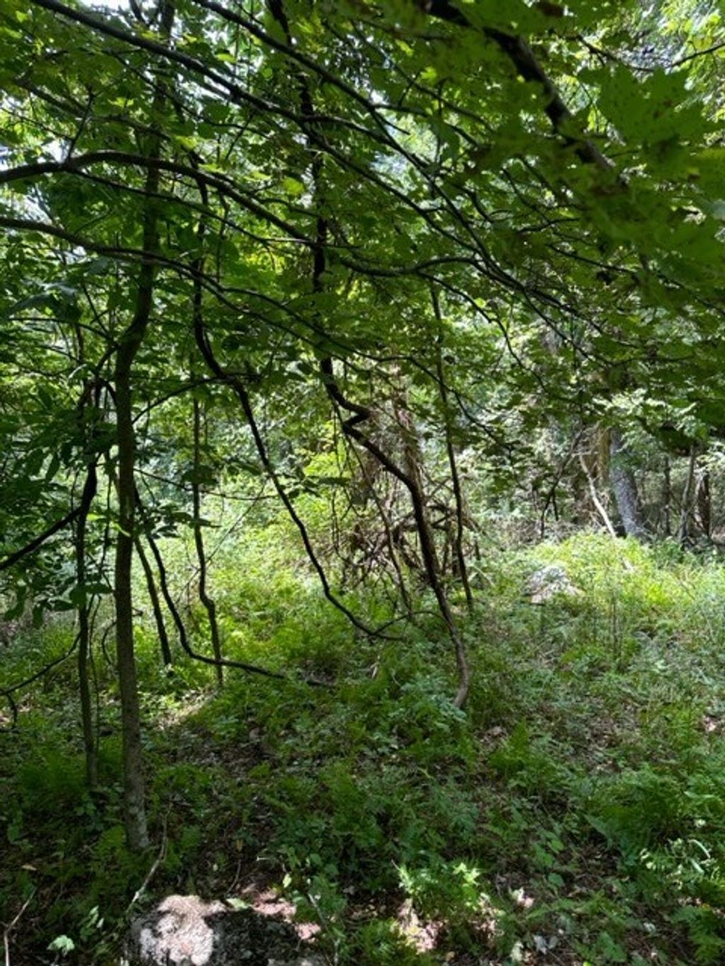 Photo of TBD Black Rock Mountain Ln #52-2-8, Independence, VA 24348 (MLS # 109388)