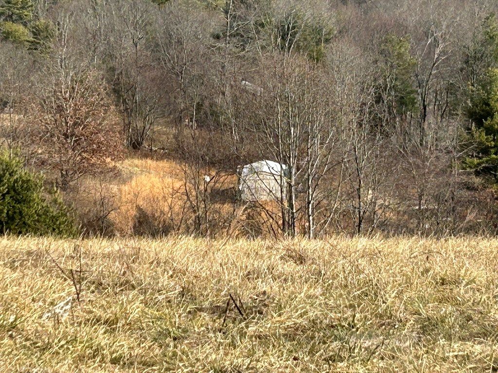 Photo of 686 Meadow View Lane #12, Max Meadows, VA 24360 (MLS # 104461)