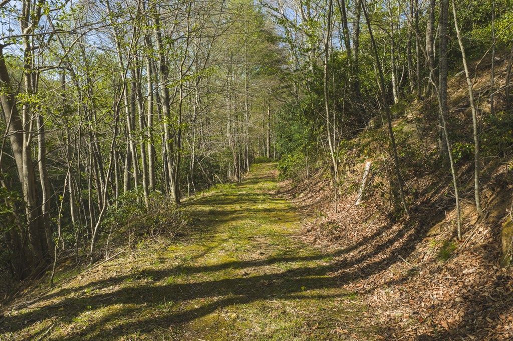 Photo of TBD Black Ridge Rd, Floyd, VA 24091 (MLS # 109752)