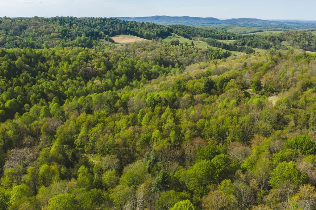 Photo of TBD Black Ridge Rd, Floyd, VA 24091 (MLS # 109752)