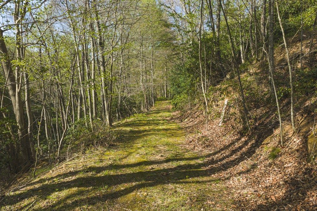 Photo of TBD Black Ridge Rd, Floyd, VA 24091 (MLS # 109752)