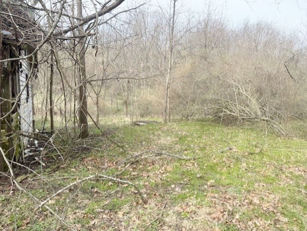 Photo of TBD Rome Rd #N/A, Max Meadows, VA 24360 (MLS # 109280)