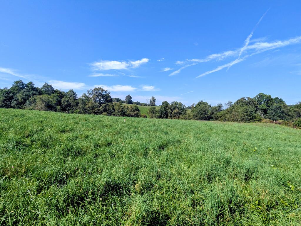 Photo of 4 Floyd Hwy N HWY, Floyd, VA 24091 (MLS # 111720)
