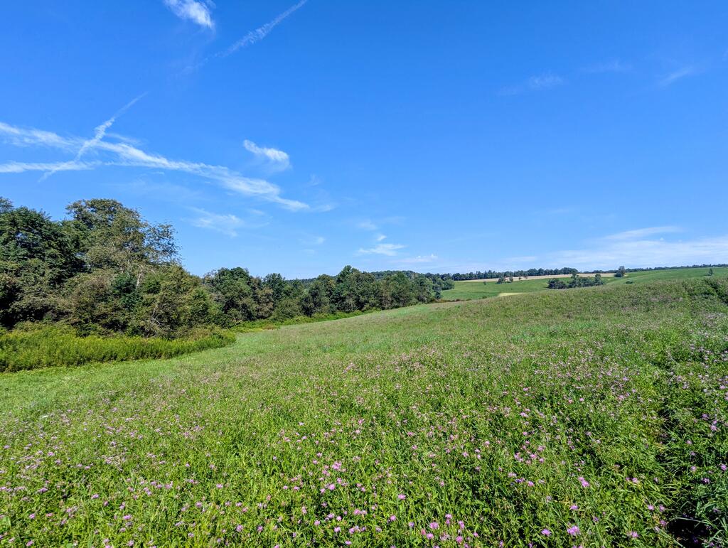 Photo of 4 Floyd Hwy N HWY, Floyd, VA 24091 (MLS # 111720)