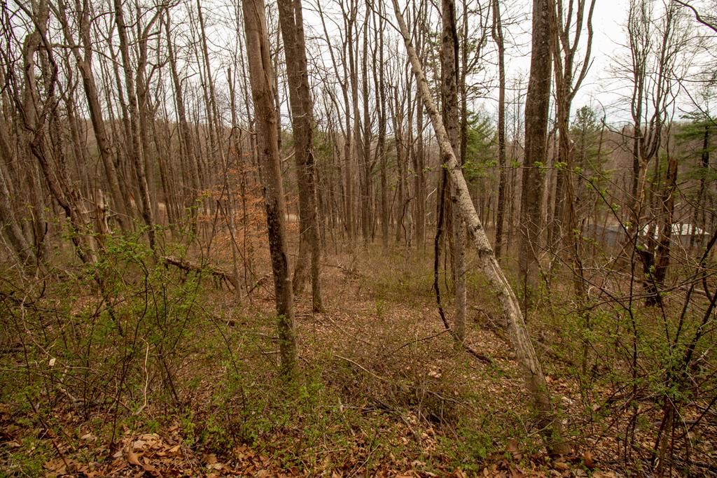 Photo of 356 Scotch Pine Dr #356, Copper Hill, VA 24079 (MLS # 109401)