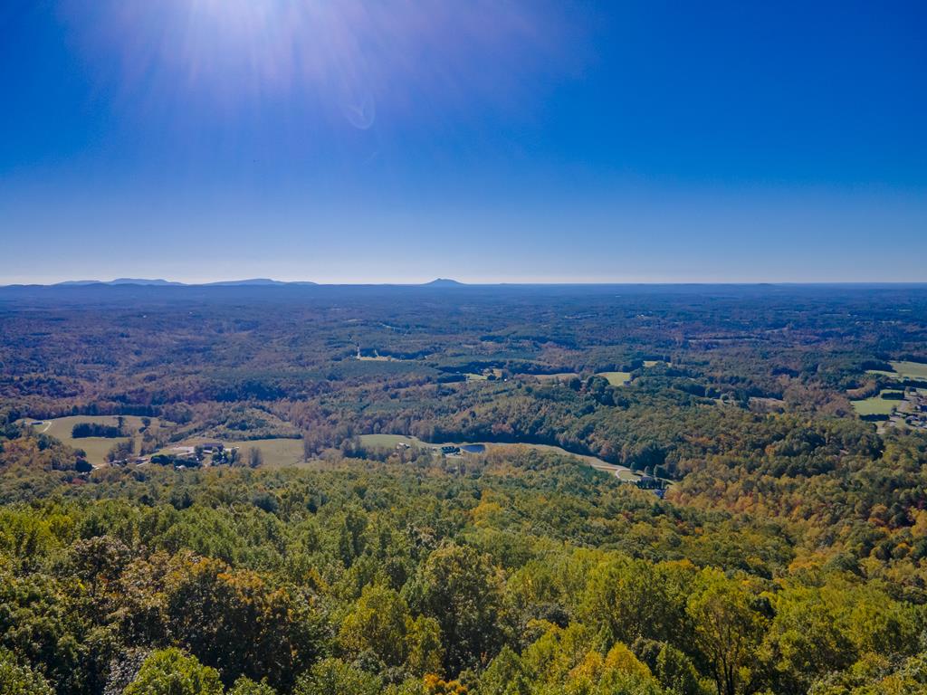 Photo of 17 Spring Pond Trl #See Addendum, Fancy Gap, VA 24328 (MLS # 112511)