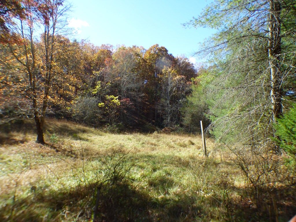 Photo of 2501 Case Knife RIdge Road #n/a, Pulaski, VA 24301 (MLS # 103879)