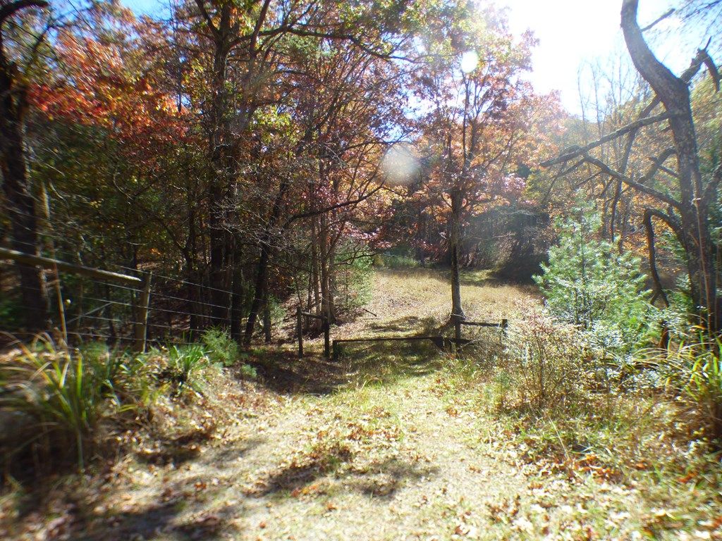 Photo of 2501 Case Knife RIdge Road #n/a, Pulaski, VA 24301 (MLS # 103879)