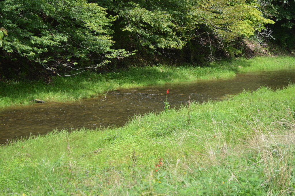 Photo of TBD Old Lake Rd #0, Marion, VA 24354 (MLS # 111483)