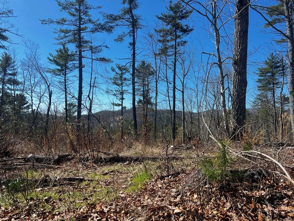 Photo of 5167 Ivanhoe Rd, Fries, VA 24330 (MLS # 109240)