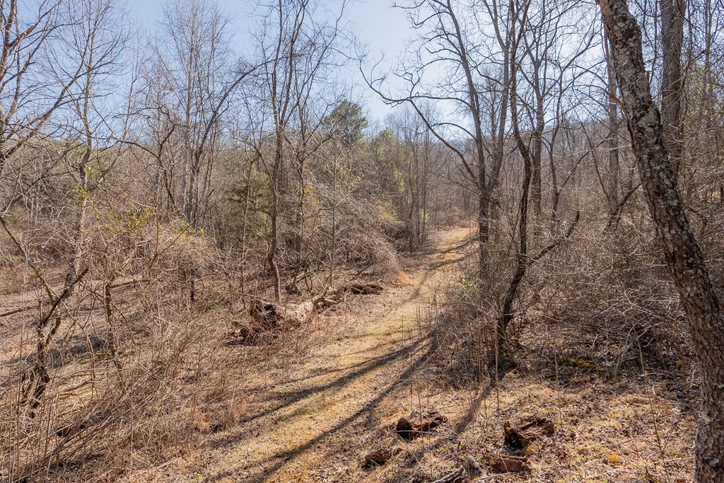 Austinville, Virginia 24312, United States, 3 Bedrooms Bedrooms, ,2 BathroomsBathrooms,Residential,Active,89209