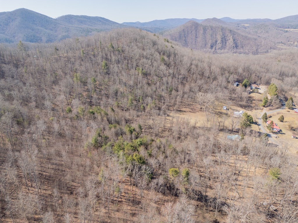 Austinville, Virginia 24312, United States, 3 Bedrooms Bedrooms, ,2 BathroomsBathrooms,Residential,Active,89209