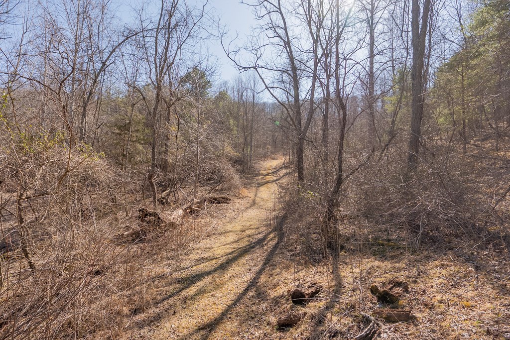 Austinville, Virginia 24312, United States, 3 Bedrooms Bedrooms, ,2 BathroomsBathrooms,Residential,Active,89209