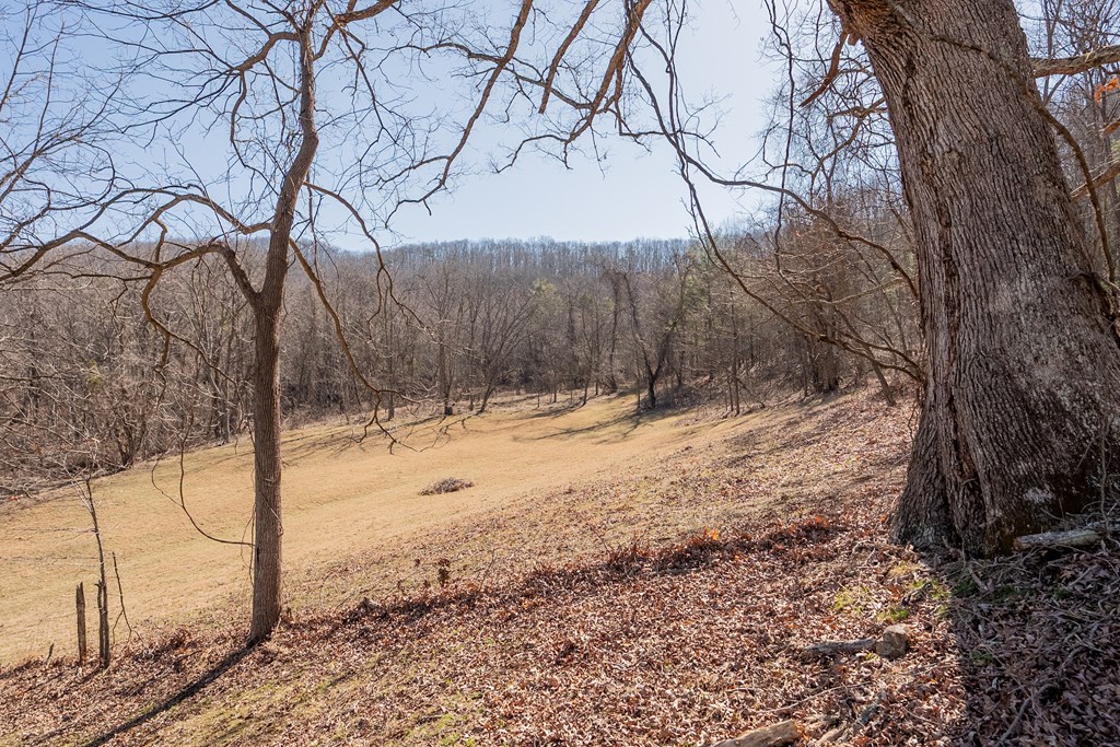 Austinville, Virginia 24312, United States, 3 Bedrooms Bedrooms, ,2 BathroomsBathrooms,Residential,Active,89209