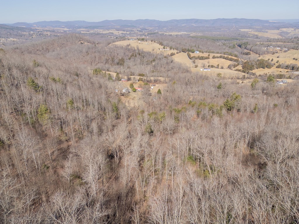 Austinville, Virginia 24312, United States, 3 Bedrooms Bedrooms, ,2 BathroomsBathrooms,Residential,Active,89209