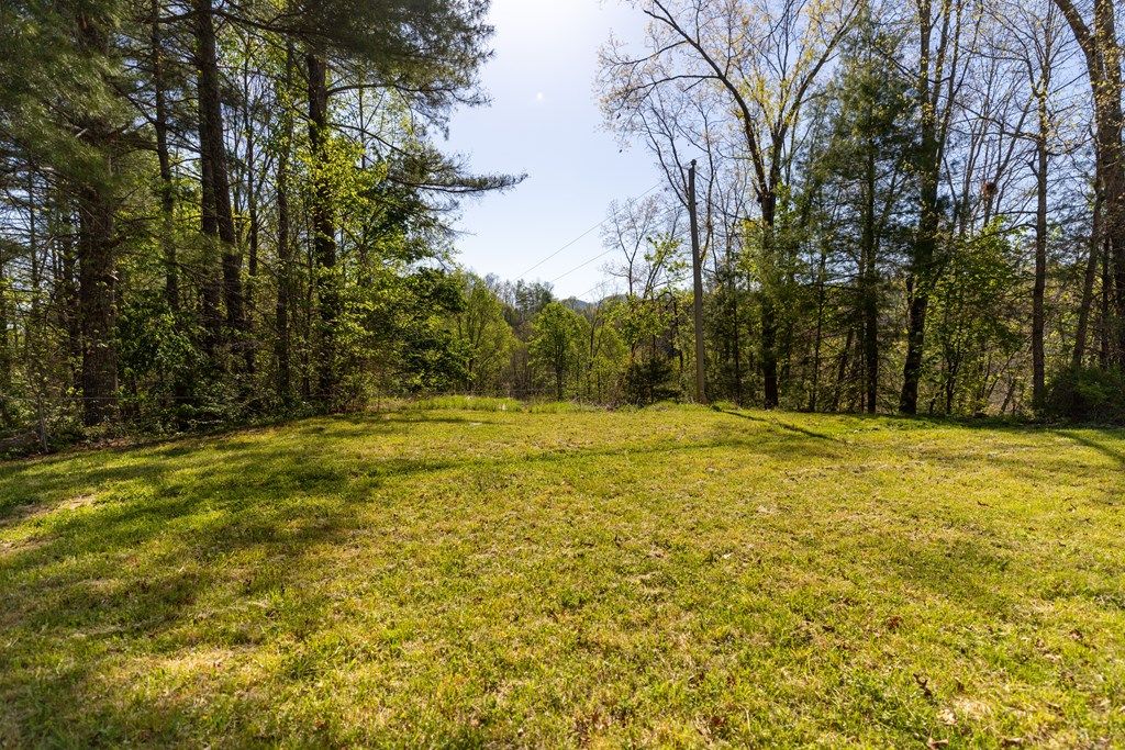 Photo of 192 Blueberry Hill, Pennington Gap, VA 24277 (MLS # 109792)
