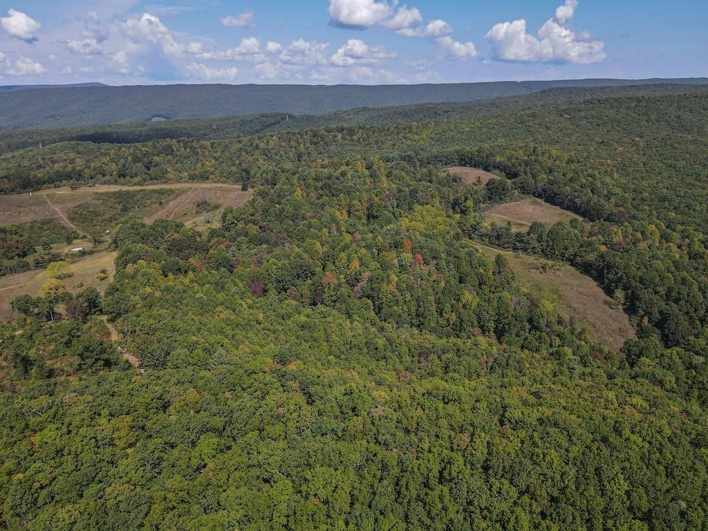 Photo of TBD Flat Top #0, Pearisburg, VA 24134 (MLS # 109625)