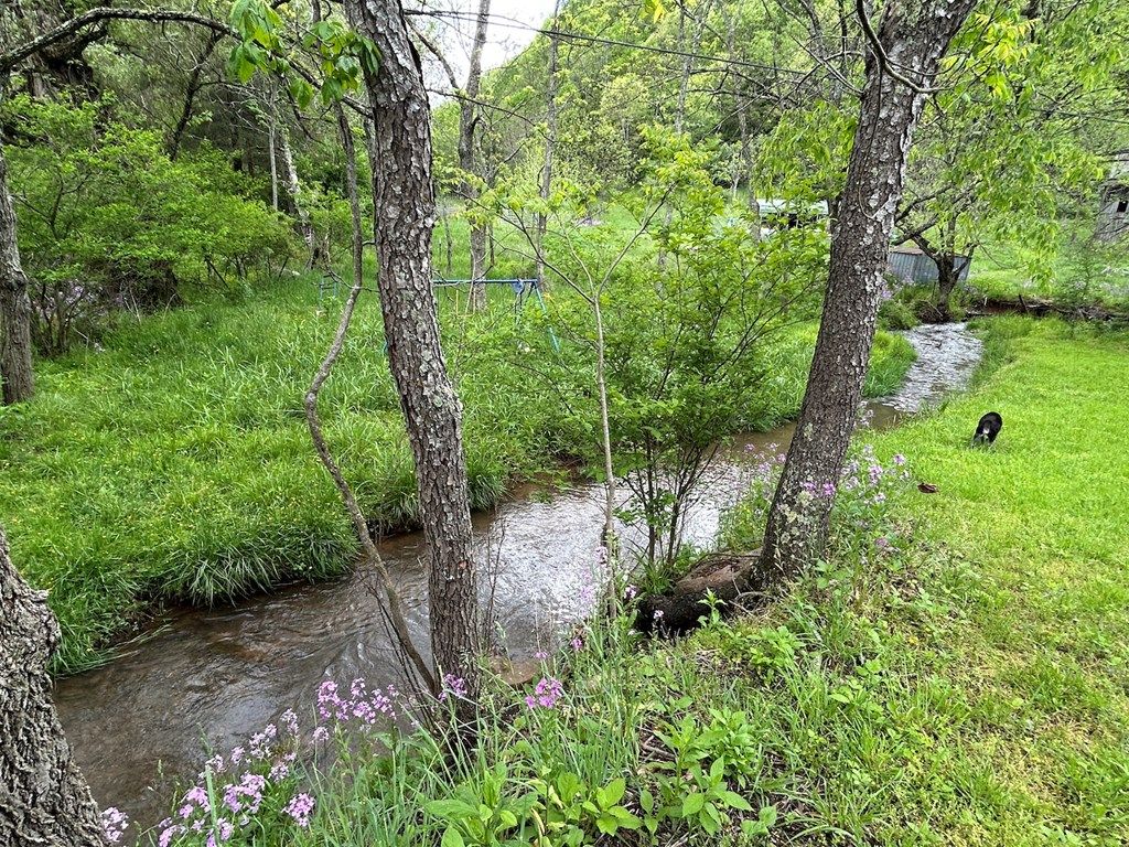 Photo of 934 Greasy Creek Rd, Wytheville, VA 24382 (MLS # 103484)