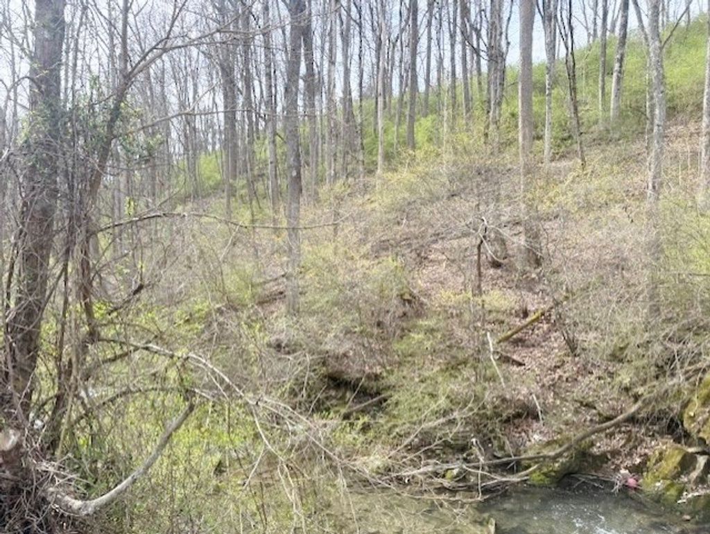 Photo of TBD Atkins Mill Rd #9,10, Wytheville, VA 24382 (MLS # 109229)