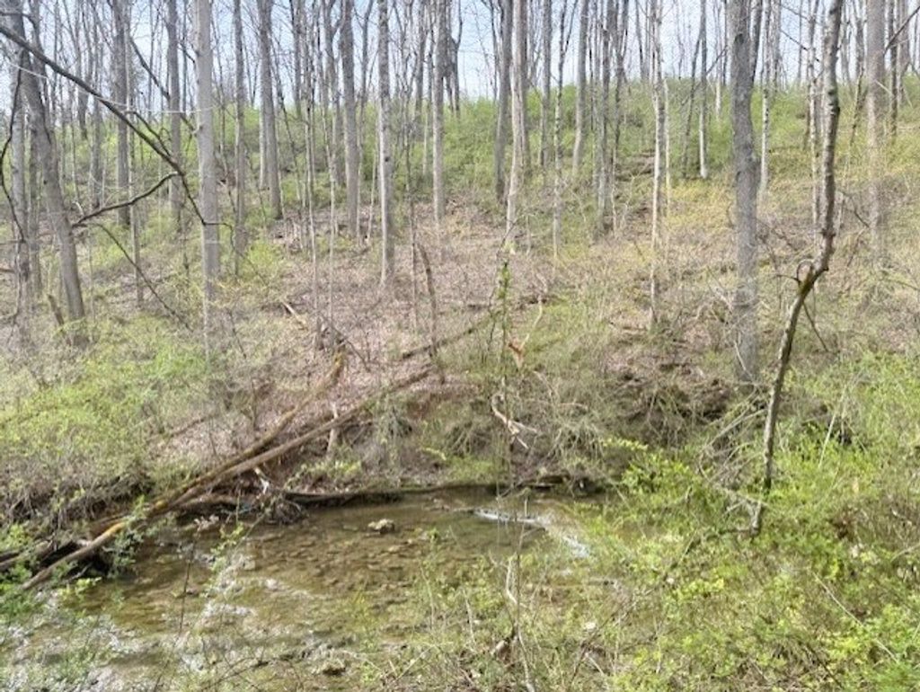 Photo of TBD Atkins Mill Rd #9,10, Wytheville, VA 24382 (MLS # 109229)