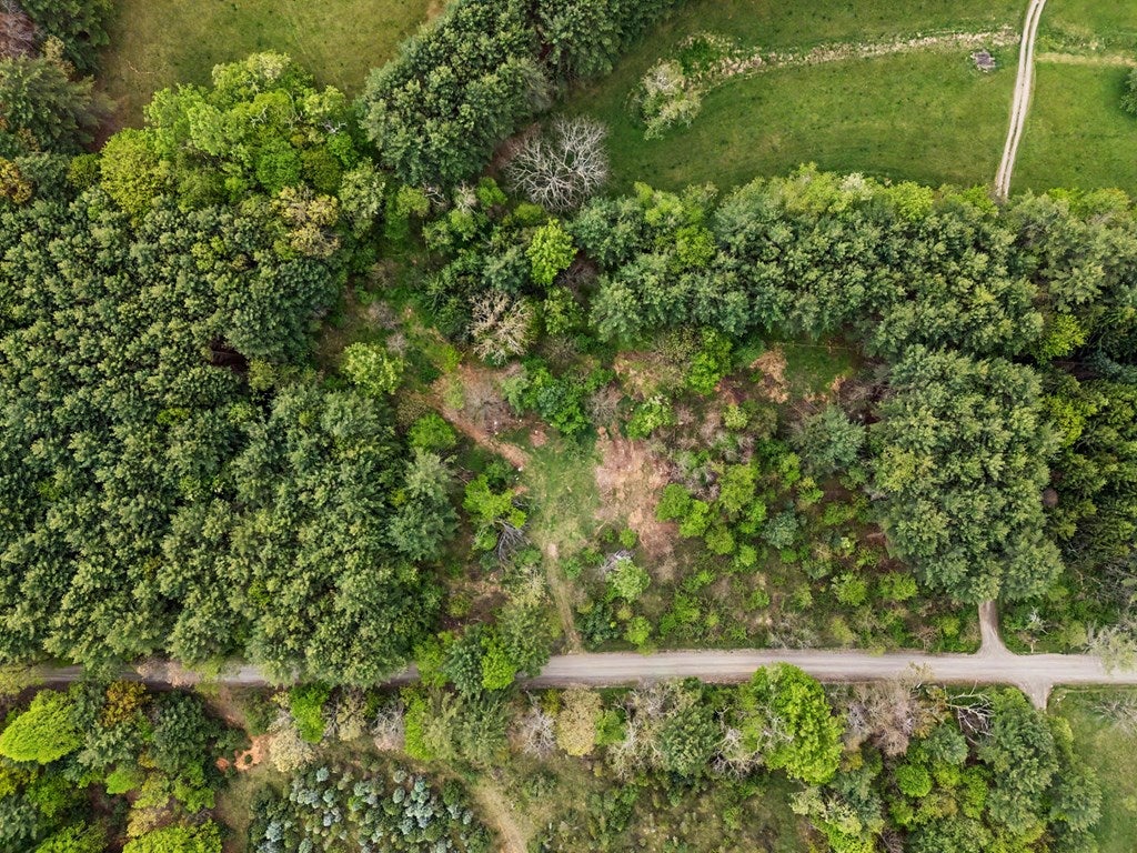 Photo of TBD Rocky Hill Rd #63, Willis, VA 24380 (MLS # 111761)