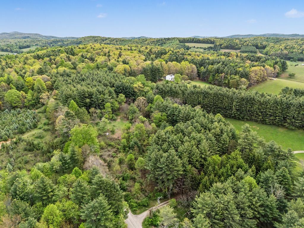 Photo of TBD Rocky Hill Rd #63, Willis, VA 24380 (MLS # 111761)