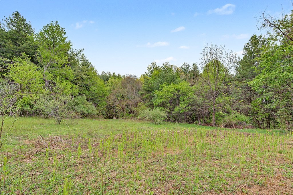 Photo of TBD Rocky Hill Rd #63, Willis, VA 24380 (MLS # 111761)