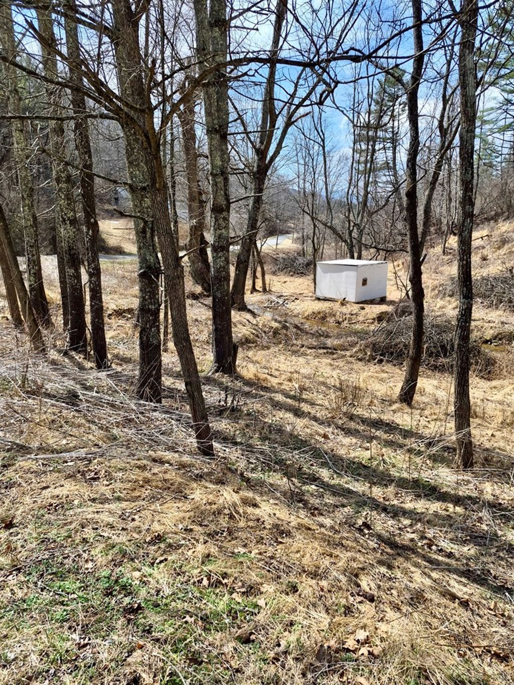 Photo of 953 Hines Branch Rd #1, Elk Creek, VA 24326 (MLS # 109306)