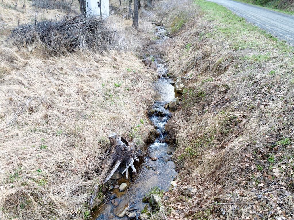 Photo of 953 Hines Branch Rd #1, Elk Creek, VA 24326 (MLS # 109306)