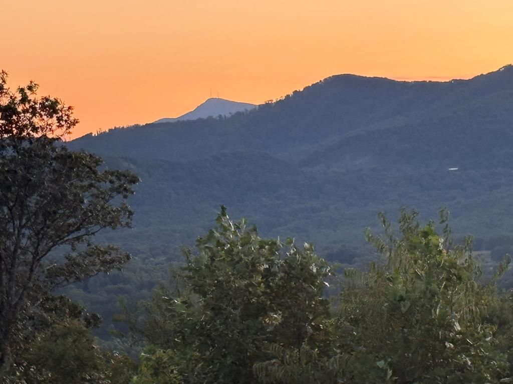 Photo of 442 Old Ridge Trail, Fancy Gap, VA 24328 (MLS # 103485)