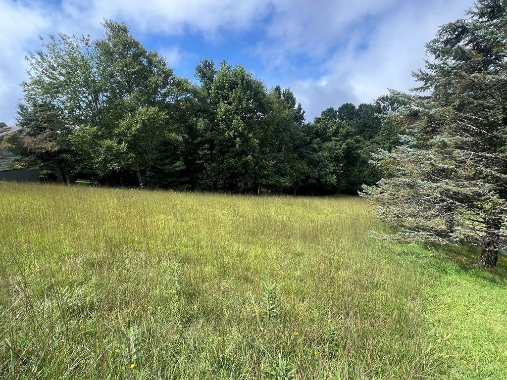 Photo of TBD Overlook Trail #13, Fancy Gap, VA 24328 (MLS # 103062)