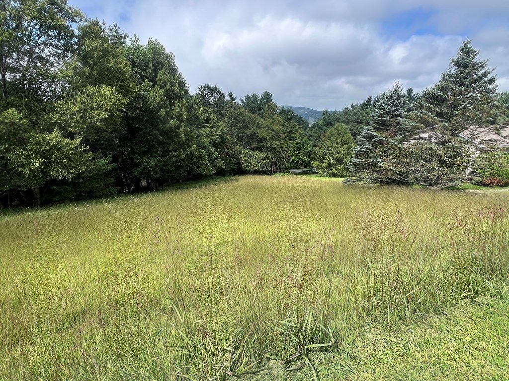 Photo of TBD Overlook Trail #13, Fancy Gap, VA 24328 (MLS # 103062)