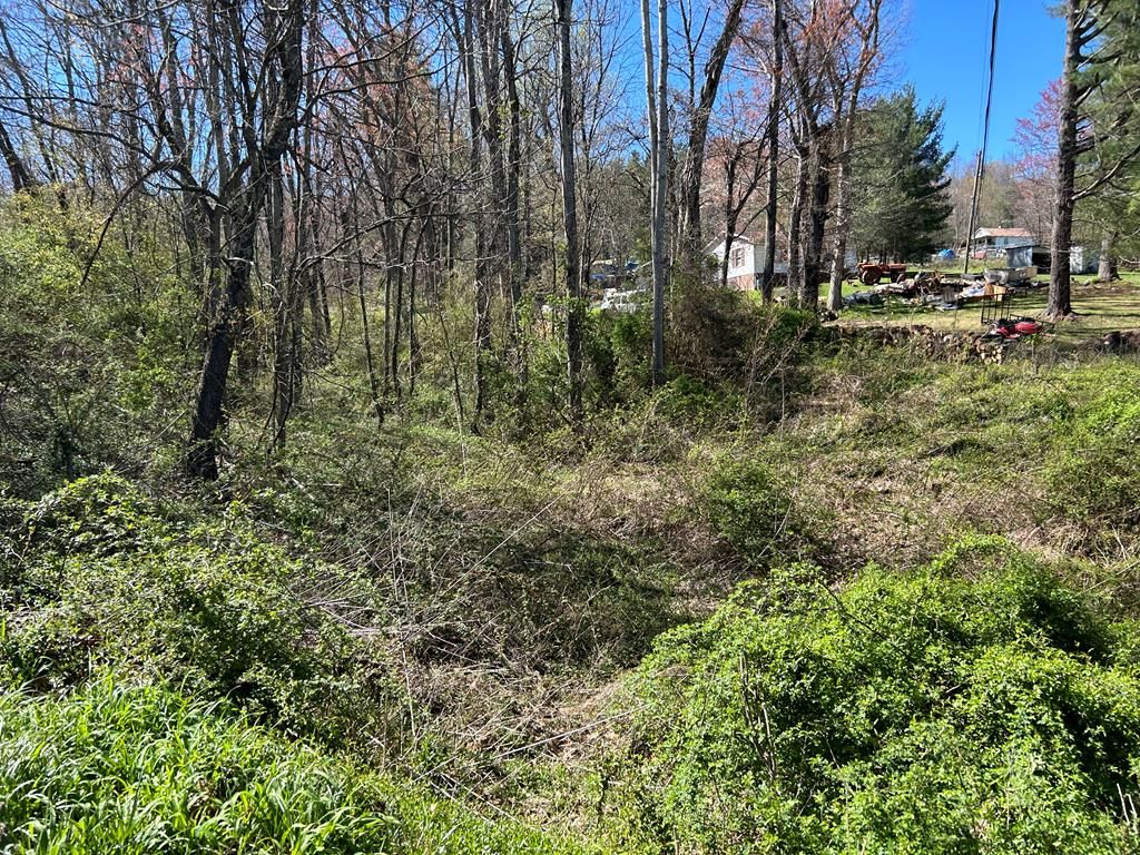 Photo of TBD Cherry Lane #0, Ivanhoe, VA 24350 (MLS # 93336)