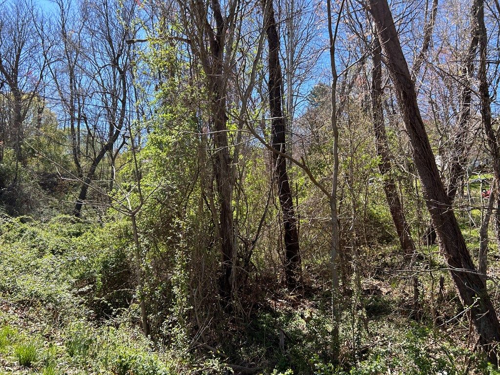 Photo of TBD Cherry Lane #0, Ivanhoe, VA 24350 (MLS # 93336)