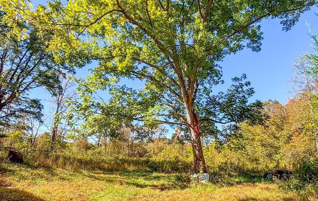 Photo of 299 Dry Pond Highway #0, Claudville, VA 24076 (MLS # 103884)
