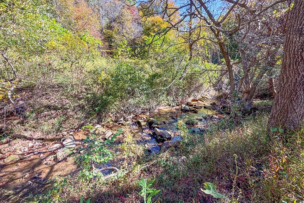 Photo of 299 Dry Pond Highway #0, Claudville, VA 24076 (MLS # 103884)