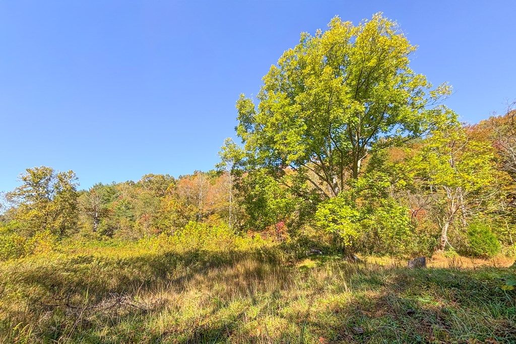 Photo of 299 Dry Pond Highway #0, Claudville, VA 24076 (MLS # 103884)