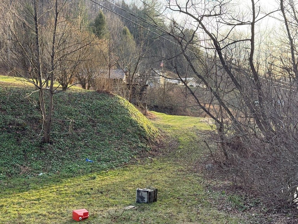 Photo of 7016 Hurricane Creek Rd, Vansant, VA 24656 (MLS # 104482)