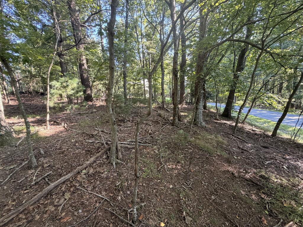 Photo of TBD Cascade Trail #13, Fancy Gap, VA 24328 (MLS # 111732)