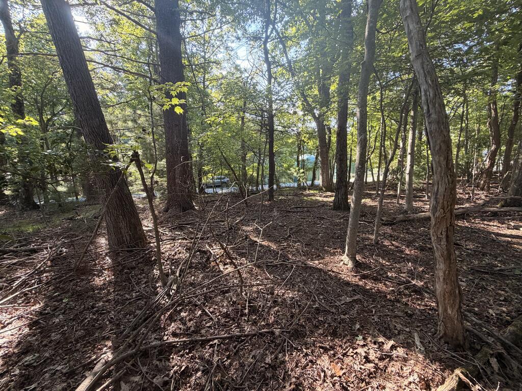 Photo of TBD Cascade Trail #13, Fancy Gap, VA 24328 (MLS # 111732)