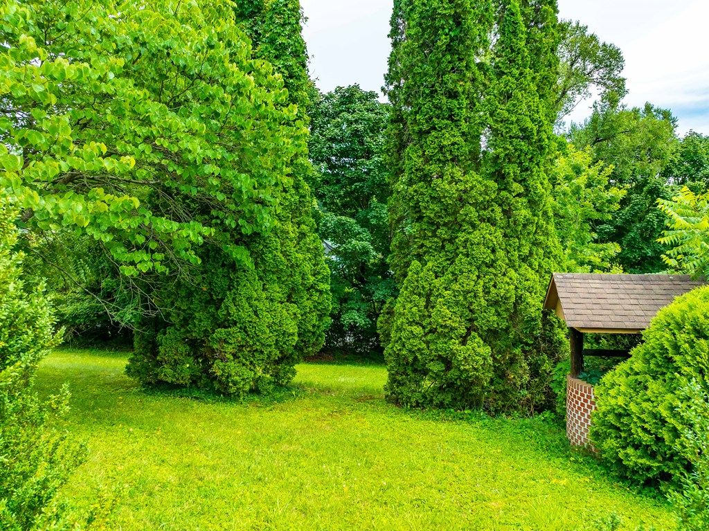 Photo of TBD West Main St #209-112-56, Marion, VA 24354 (MLS # 110989)