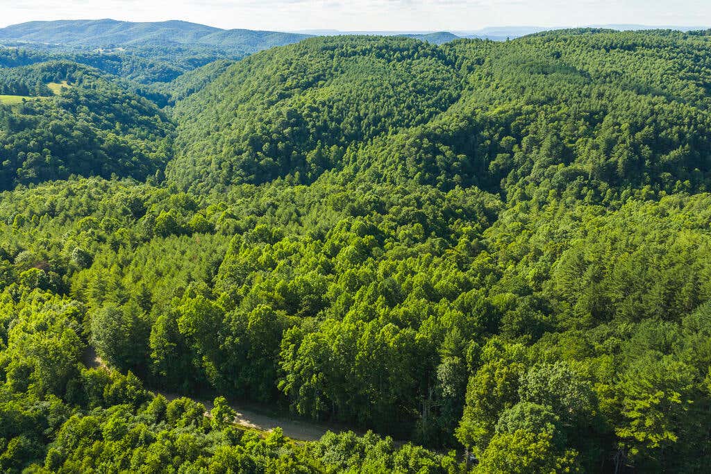 Photo of TBD Sawmill Hill Rd #0, Willis, VA 24380 (MLS # 111421)