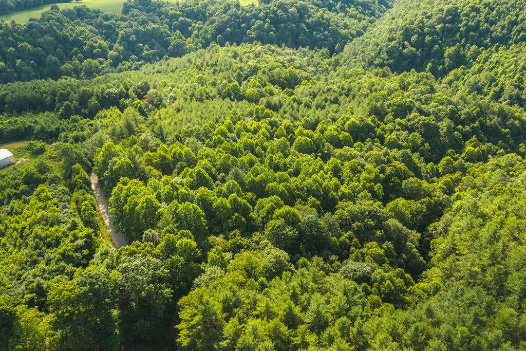 Photo of TBD Sawmill Hill Rd #0, Willis, VA 24380 (MLS # 111421)