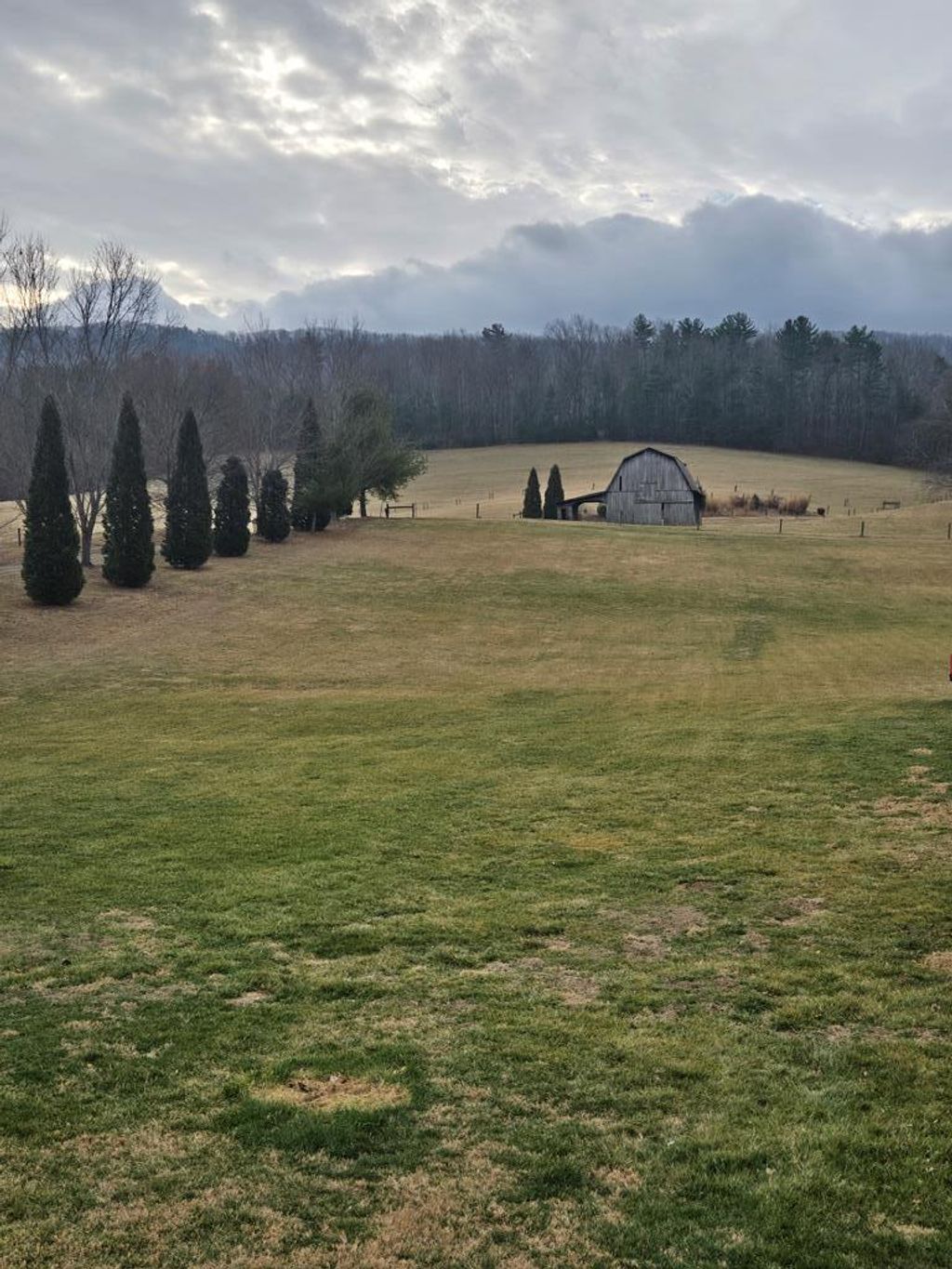 Photo of 1481 Dry Rd, Speedwell, VA 24374 (MLS # 104489)