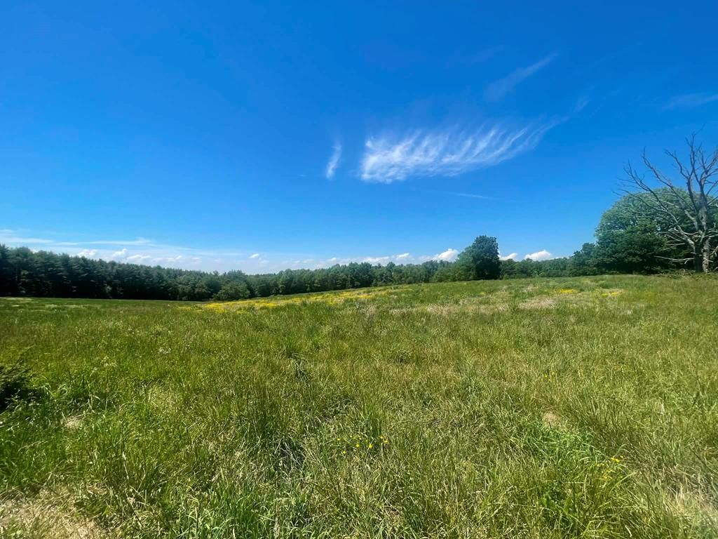 Photo of TBD Bellspur Road #NA, Laurel Fork, VA 24352 (MLS # 110197)