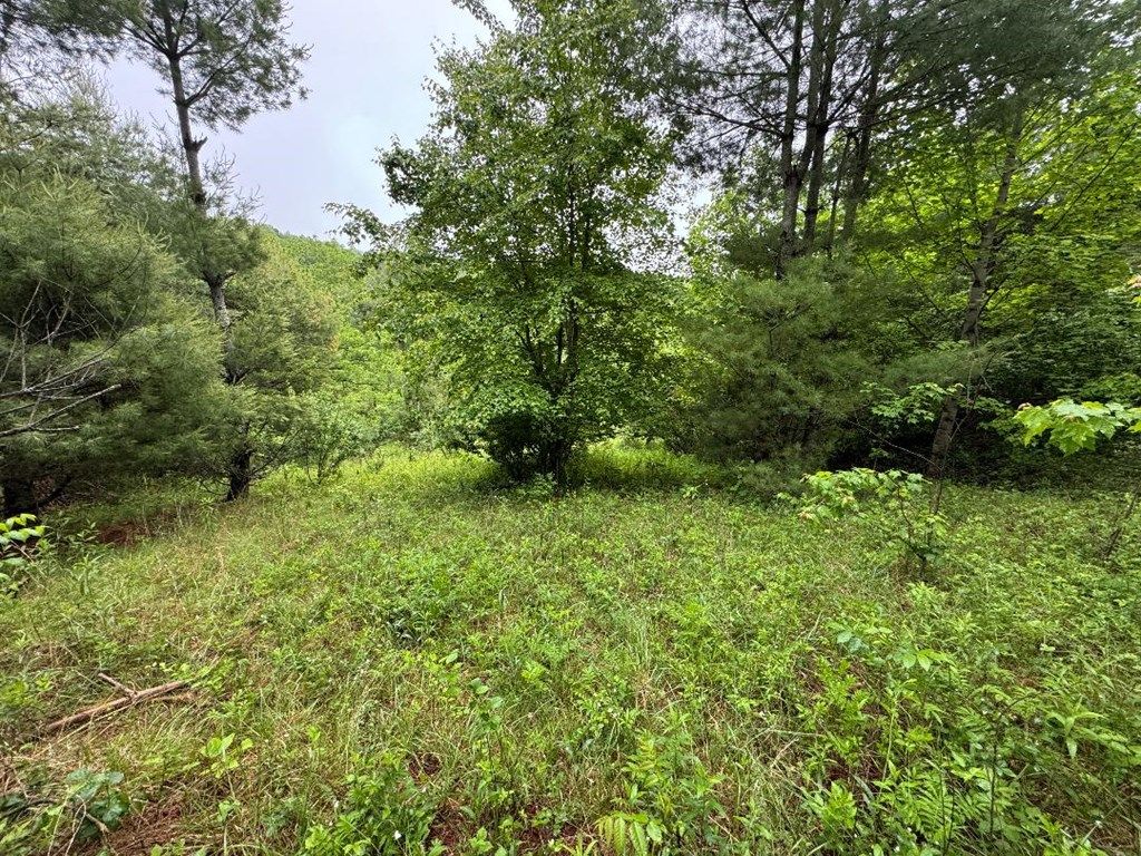 Photo of TBD Fancy Gap Hwy #N/A, Hillsville, VA 24343 (MLS # 110267)